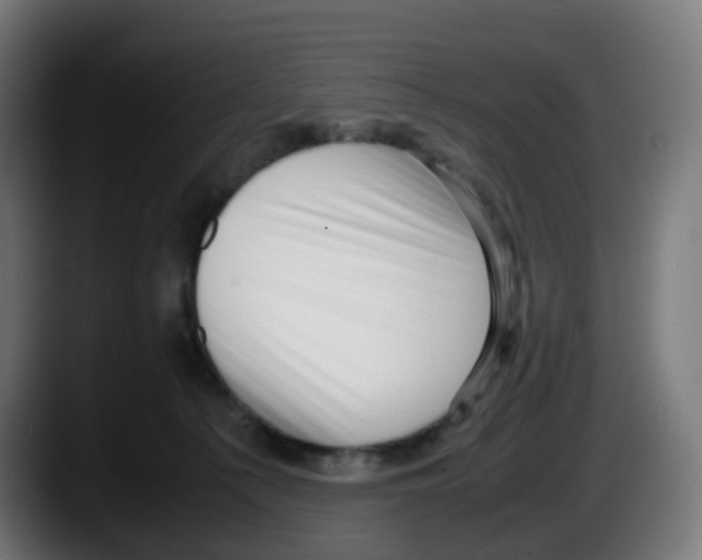 X0000087540225200705251726