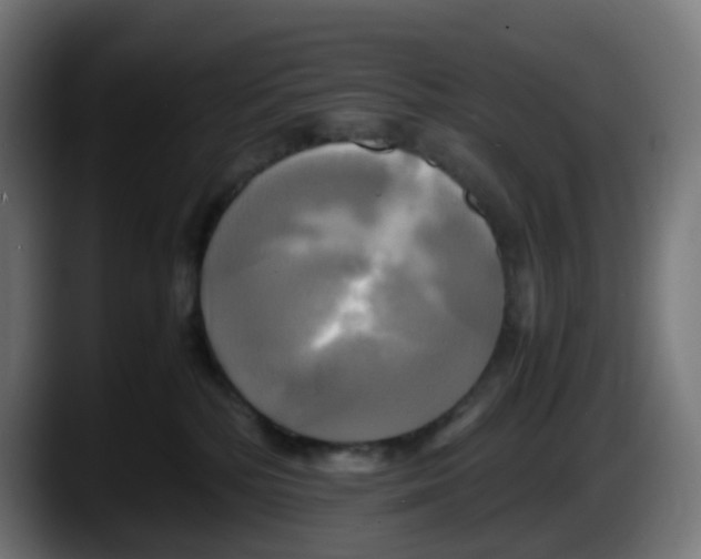 X0000087540232200705251726