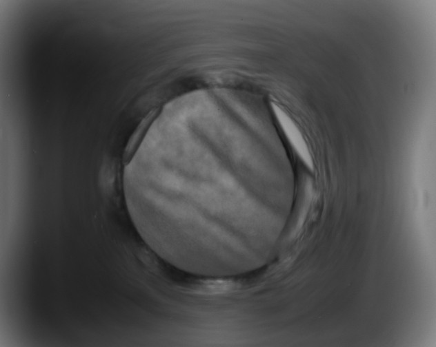 X0000087540233200705251726