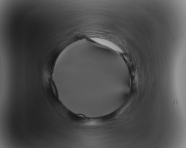 X0000087540235200705251726