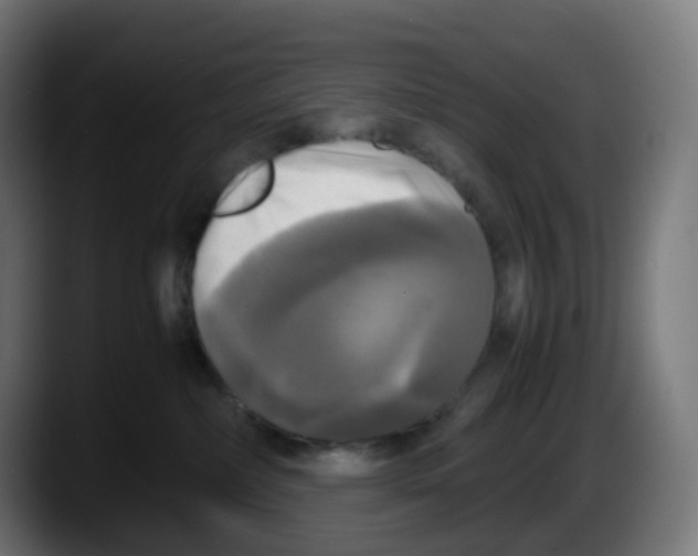 X0000087540236200705251726