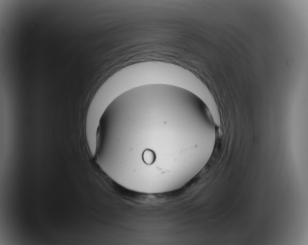 X0000087540239200705251726