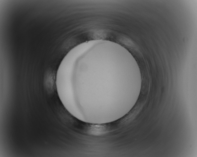 X0000087540240200705251726