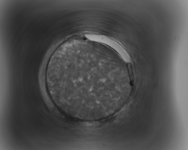 X0000087540241200705251726