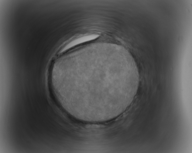 X0000087540242200705251726