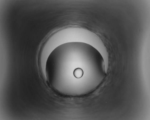 X0000087540244200705251726