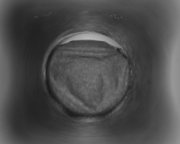 X0000087540246200705251726