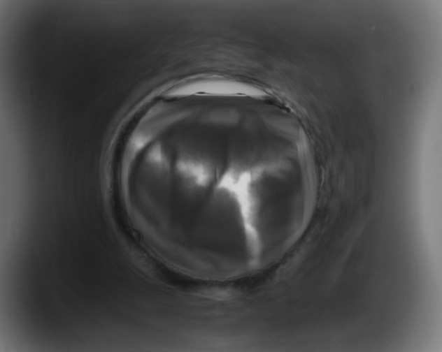 X0000087540247200705251726