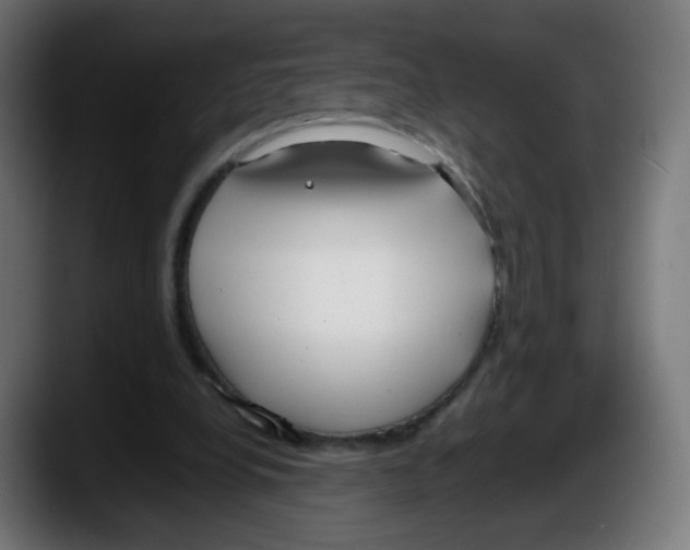 X0000087540248200705251726