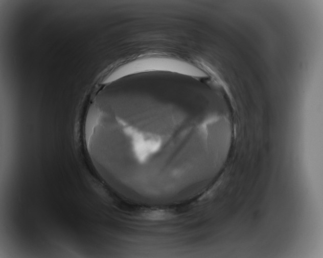 X0000087540249200705251726