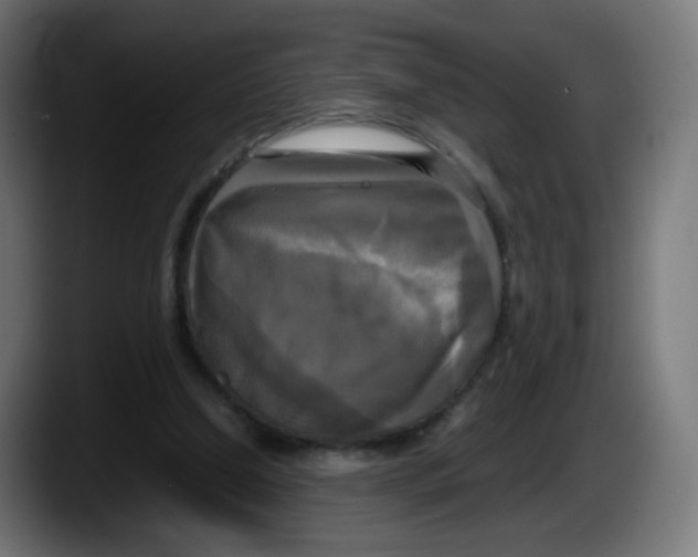 X0000087540250200705251726