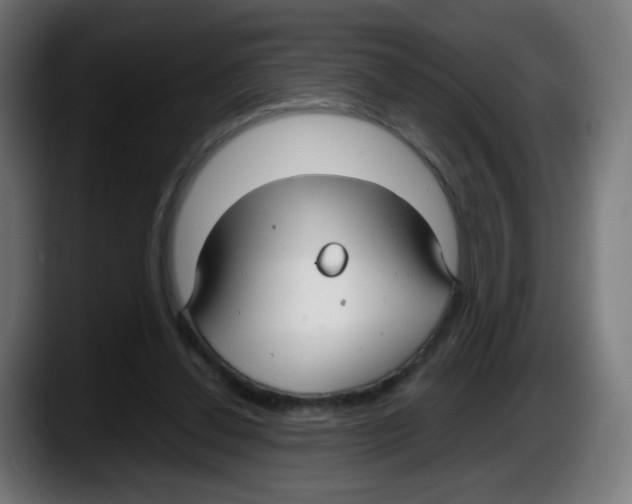 X0000087540252200705251726