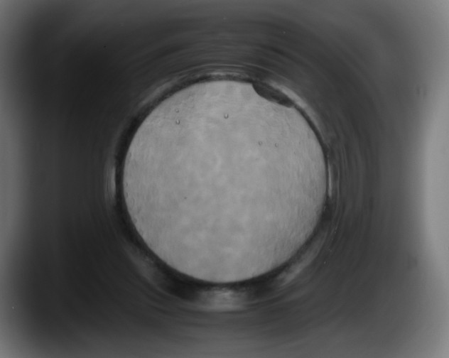 X0000087540253200705251726