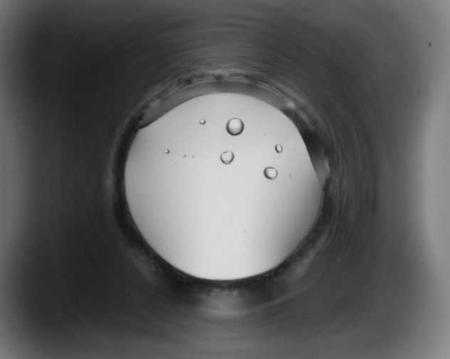 X0000087540256200705251726