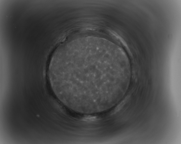 X0000087540257200705251726