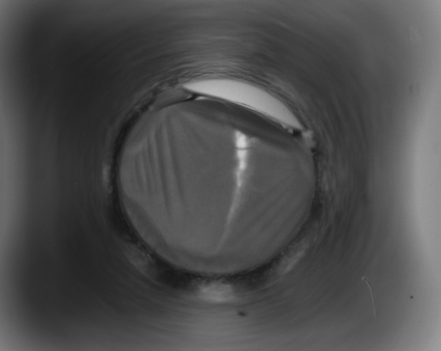 X0000087540258200705251726