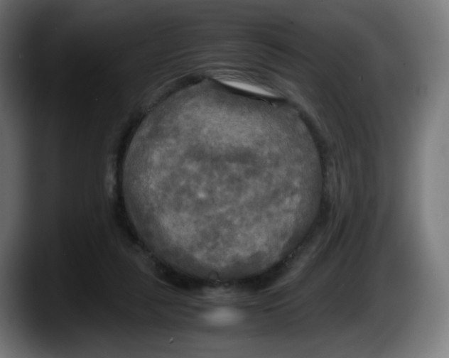 X0000087540259200705251726