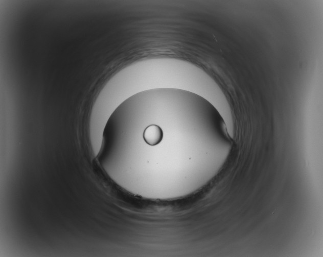 X0000087540260200705251726