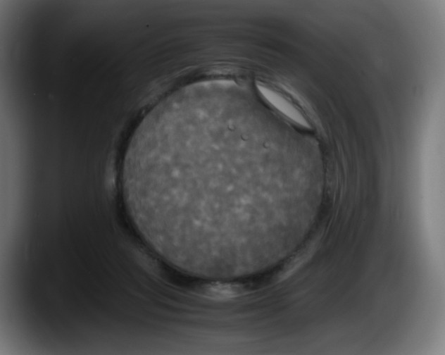 X0000087540261200705251726