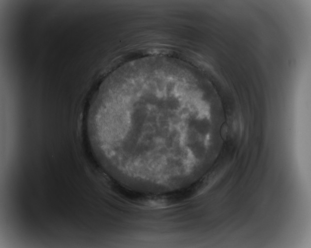 X0000087540263200705251726