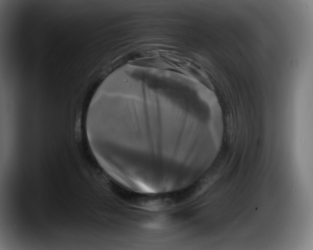 X0000087540267200705251726