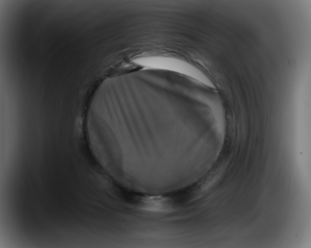 X0000087540269200705251726