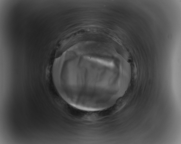 X0000087540271200705251726