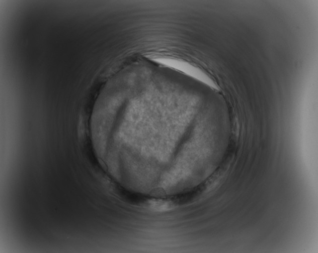 X0000087540272200705251726