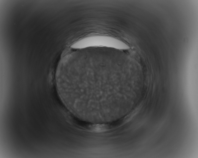 X0000087540273200705251726