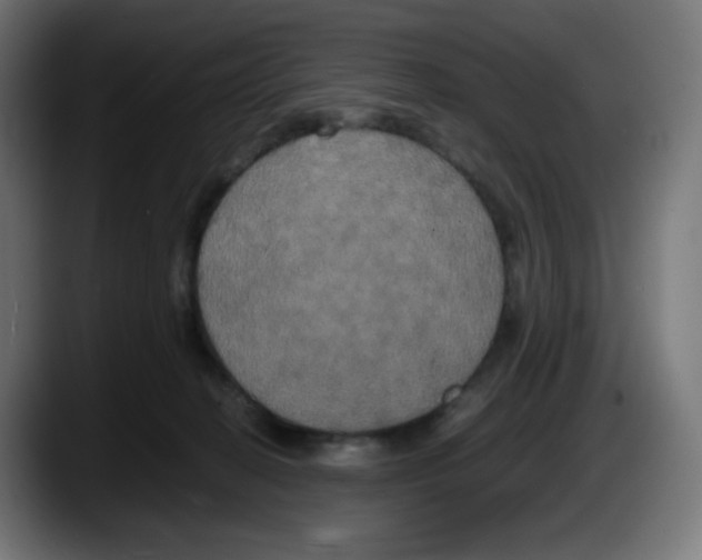 X0000087540274200705251726