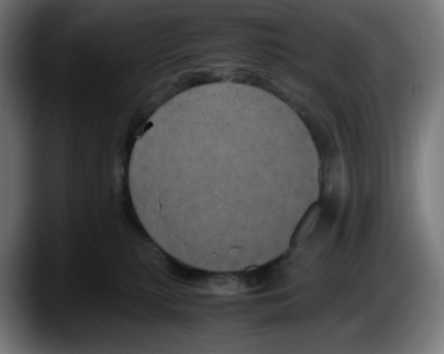 X0000087540279200705251726