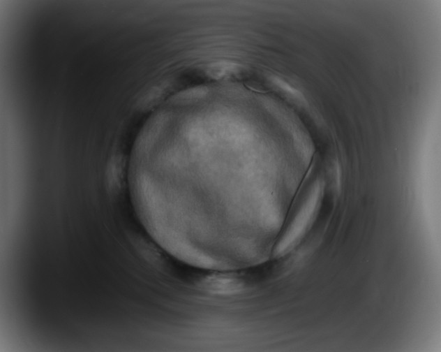 X0000087540280200705251726