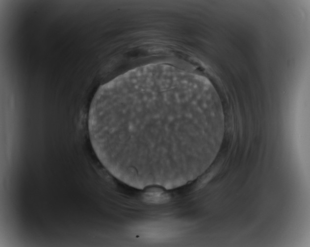 X0000087540281200705251726