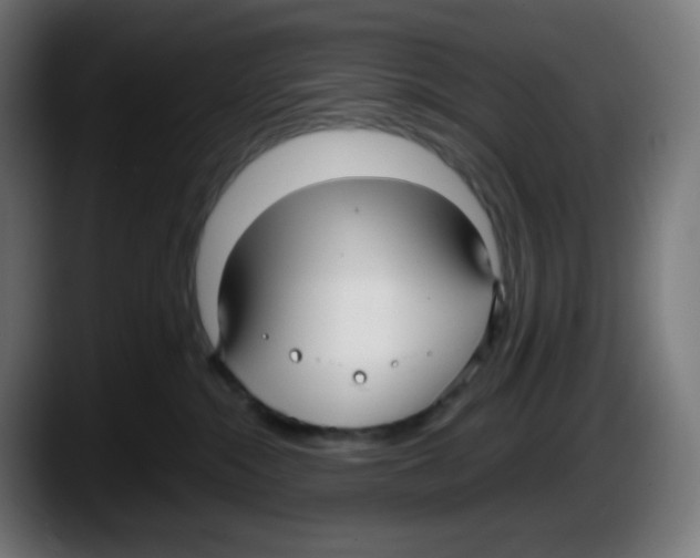 X0000087540284200705251726