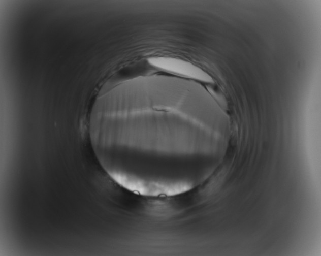 X0000087540285200705251726