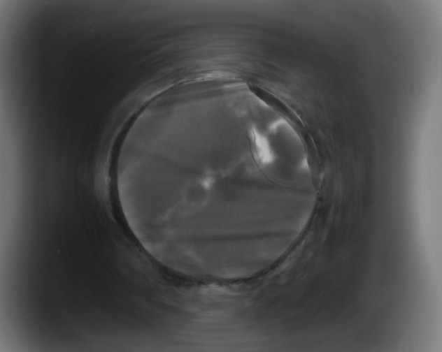 X0000087540290200705251726