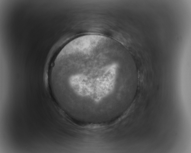 X0000087540294200705251725