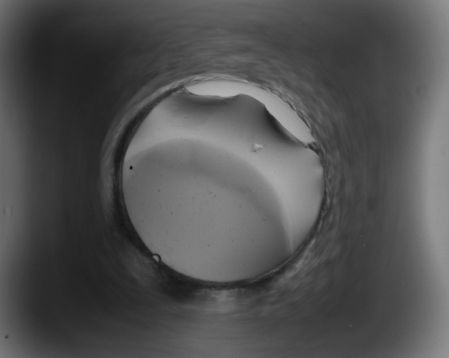 X0000087540295200705251725