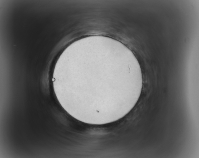 X0000087540296200705251725