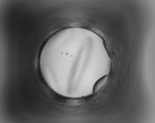 X0000087540297200705251725