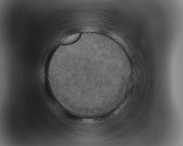 X0000087540298200705251725