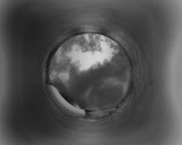 X0000087540299200705251725