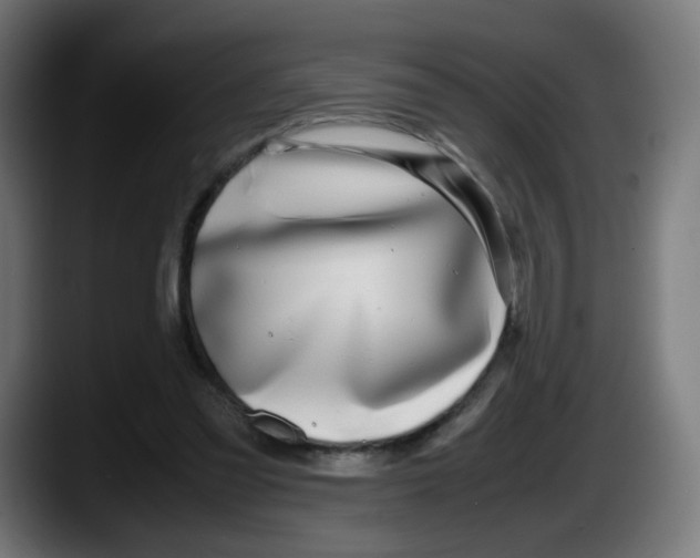 X0000087540301200705251725