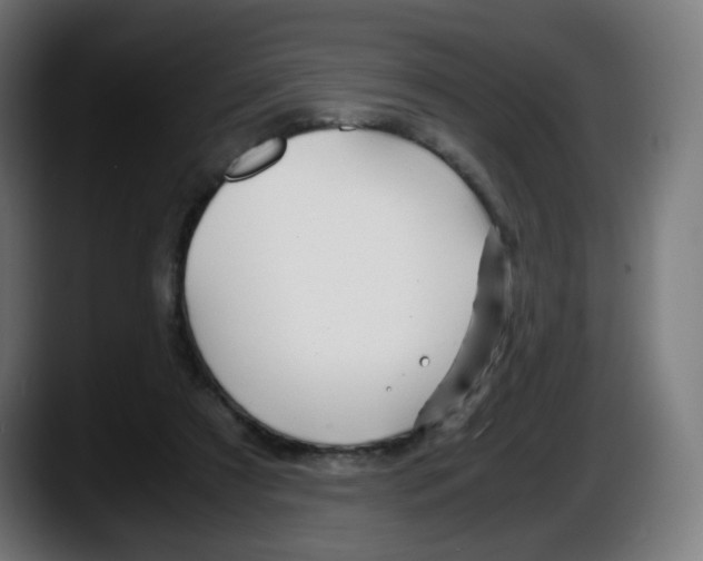 X0000087540305200705251725