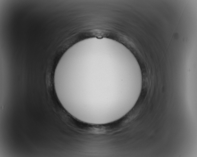 X0000087540317200705251725