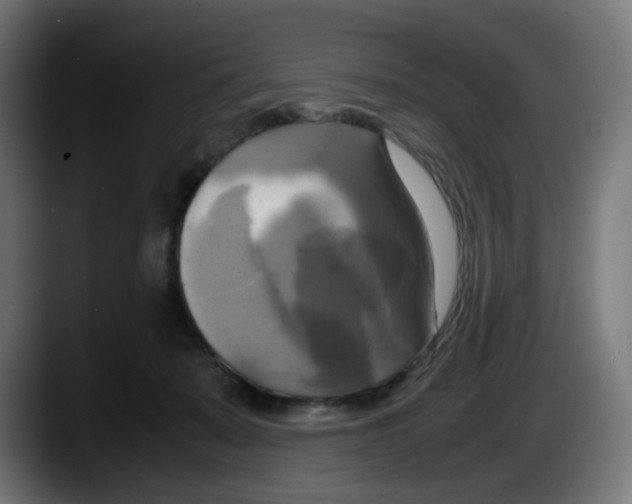 X0000087540319200705251725