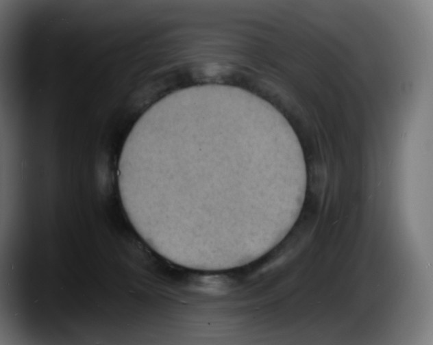 X0000087540324200705251725