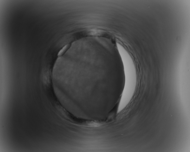 X0000087540325200705251725