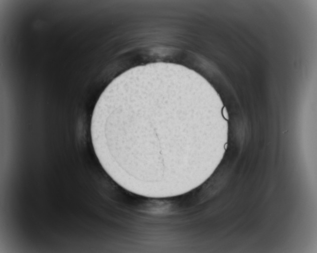 X0000087540328200705251725