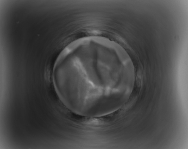 X0000087540330200705251725